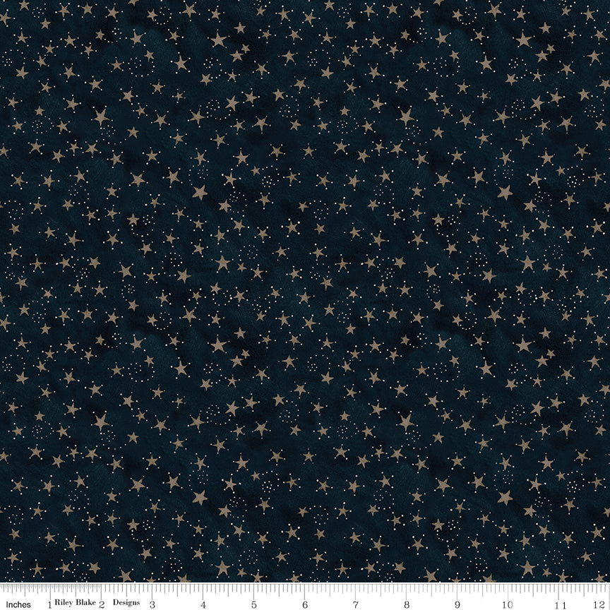 Bright Stars | 10-inch Precut Squares by Teresa Kogut for Riley Blake | 42pcs