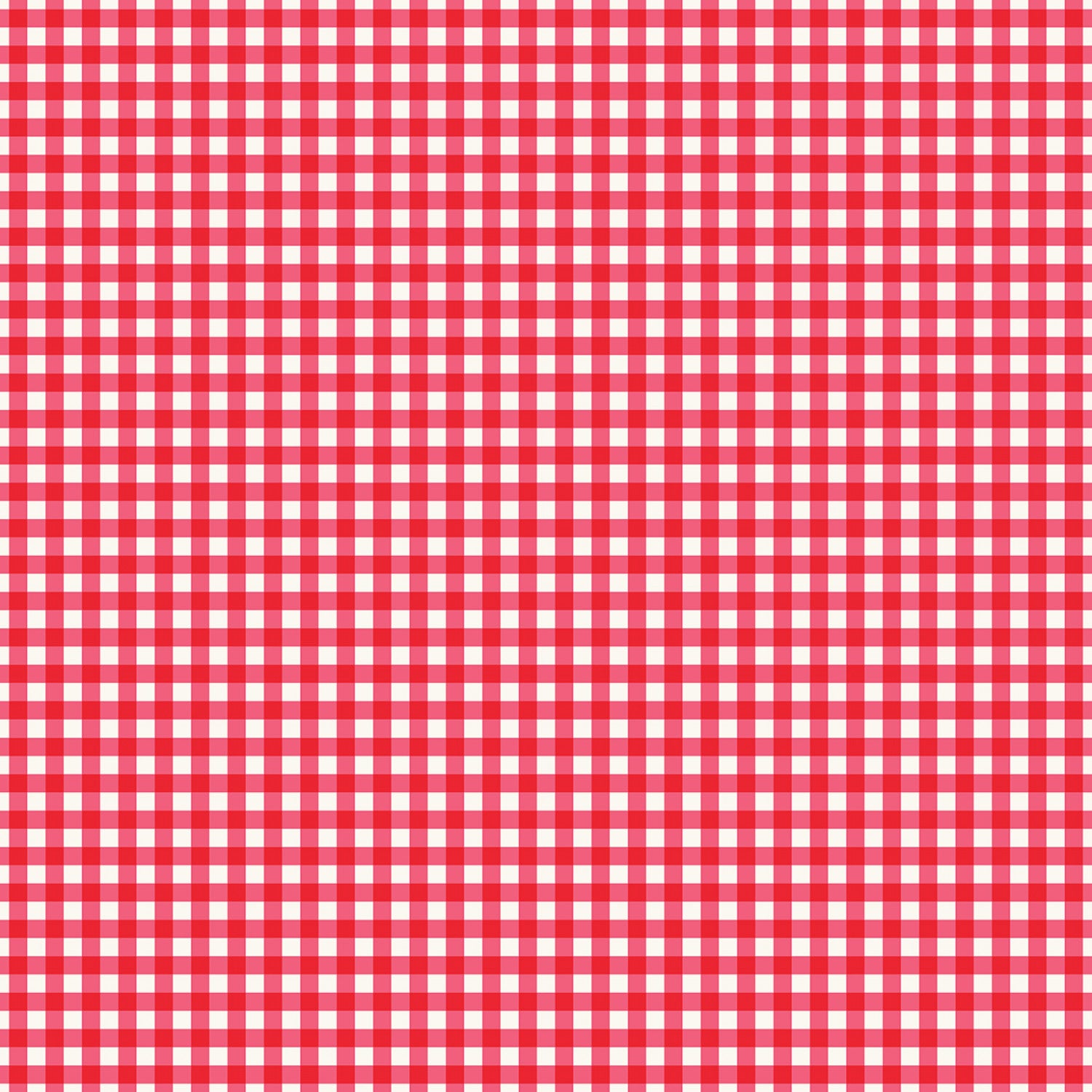 Picnic Florals - Gingham Red by My Mind's Eye for Riley Blake