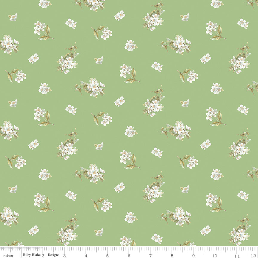 Peter Rabbit & Friends | Jasmine Green by Beatrix Potter for Riley Blake | C15864-GREEN