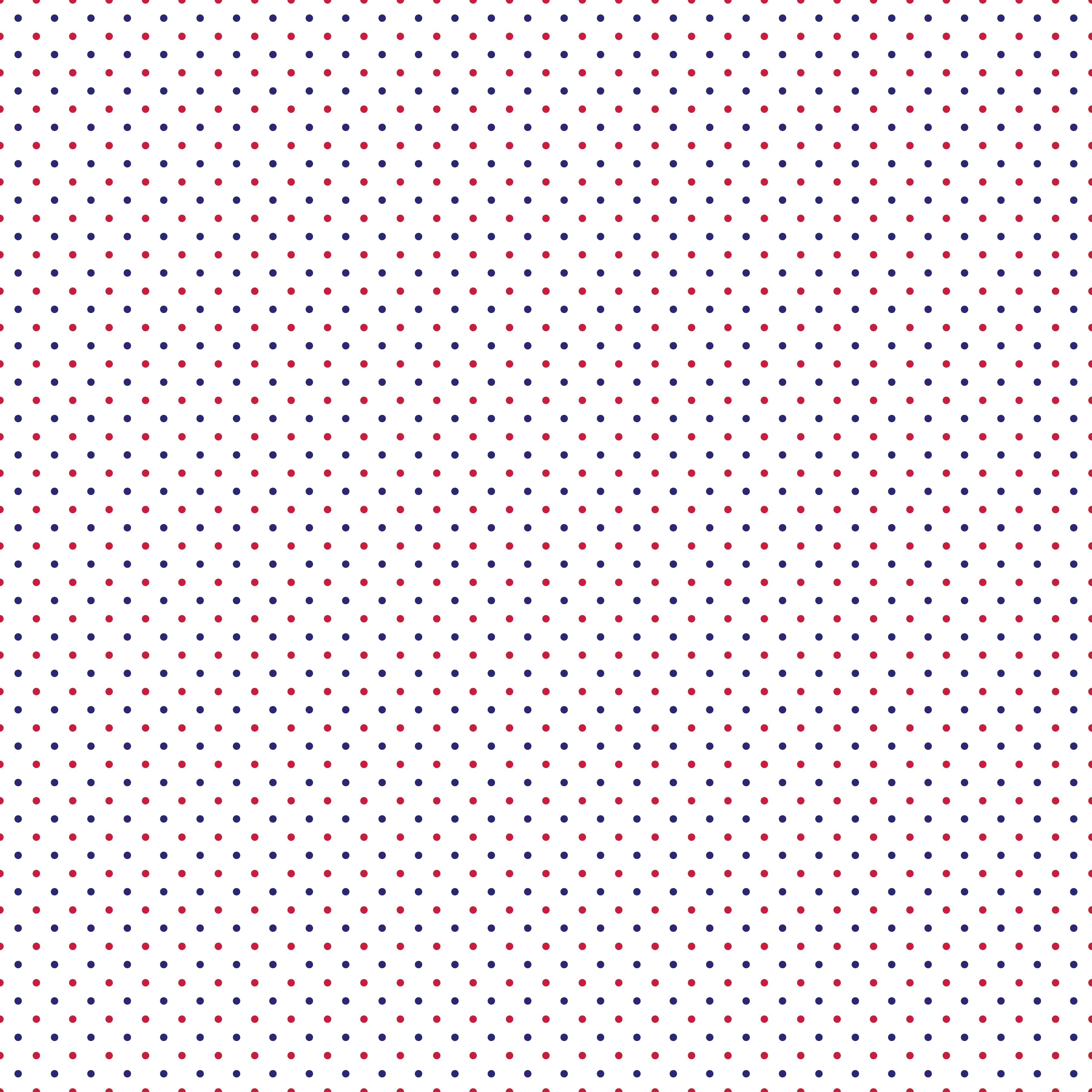 Swiss Dot | Patriotic Dots on White by Riley Blake | C660-PATRIOTIC