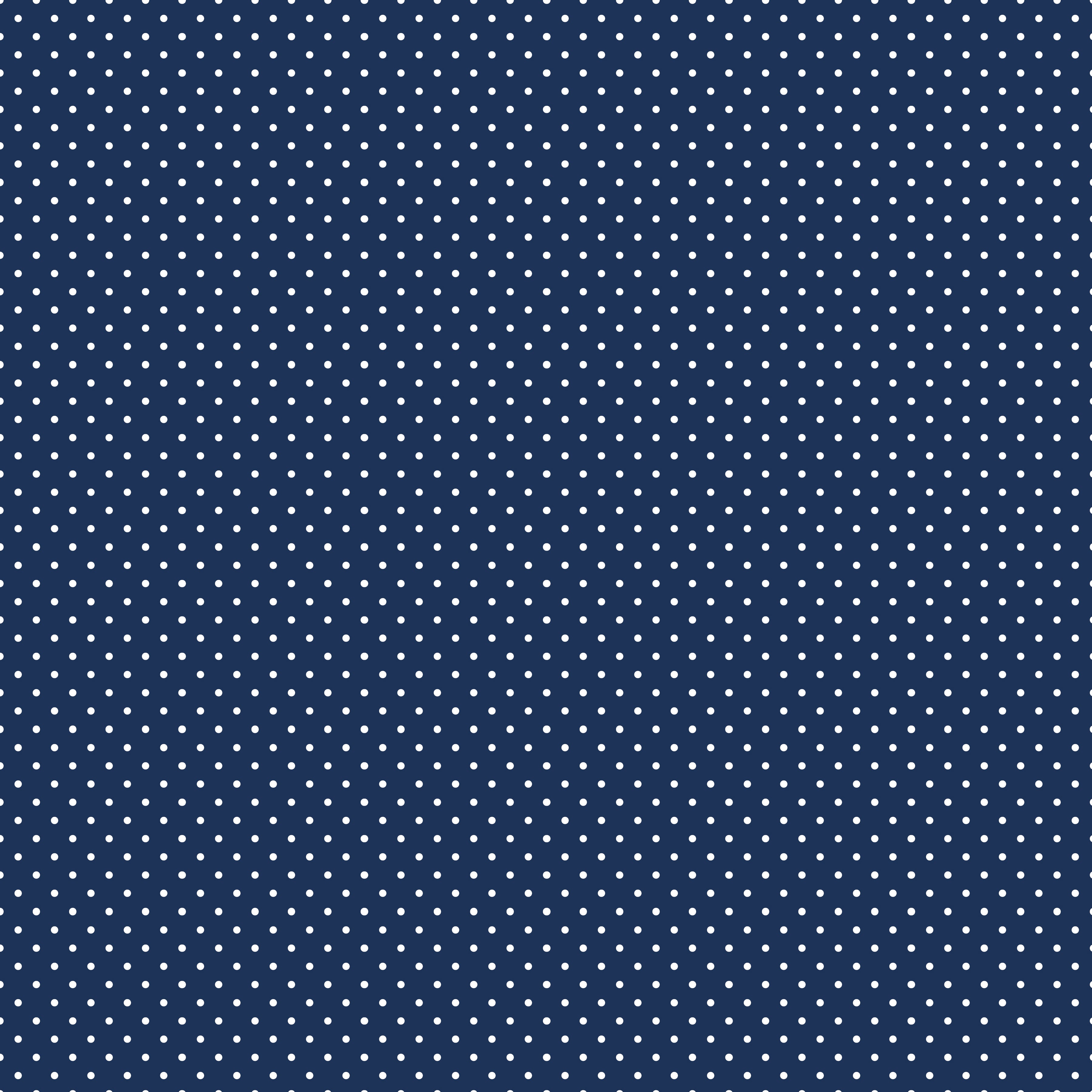 Swiss Dot | White Dots on Navy by Riley Blake | C670-21 NAVY