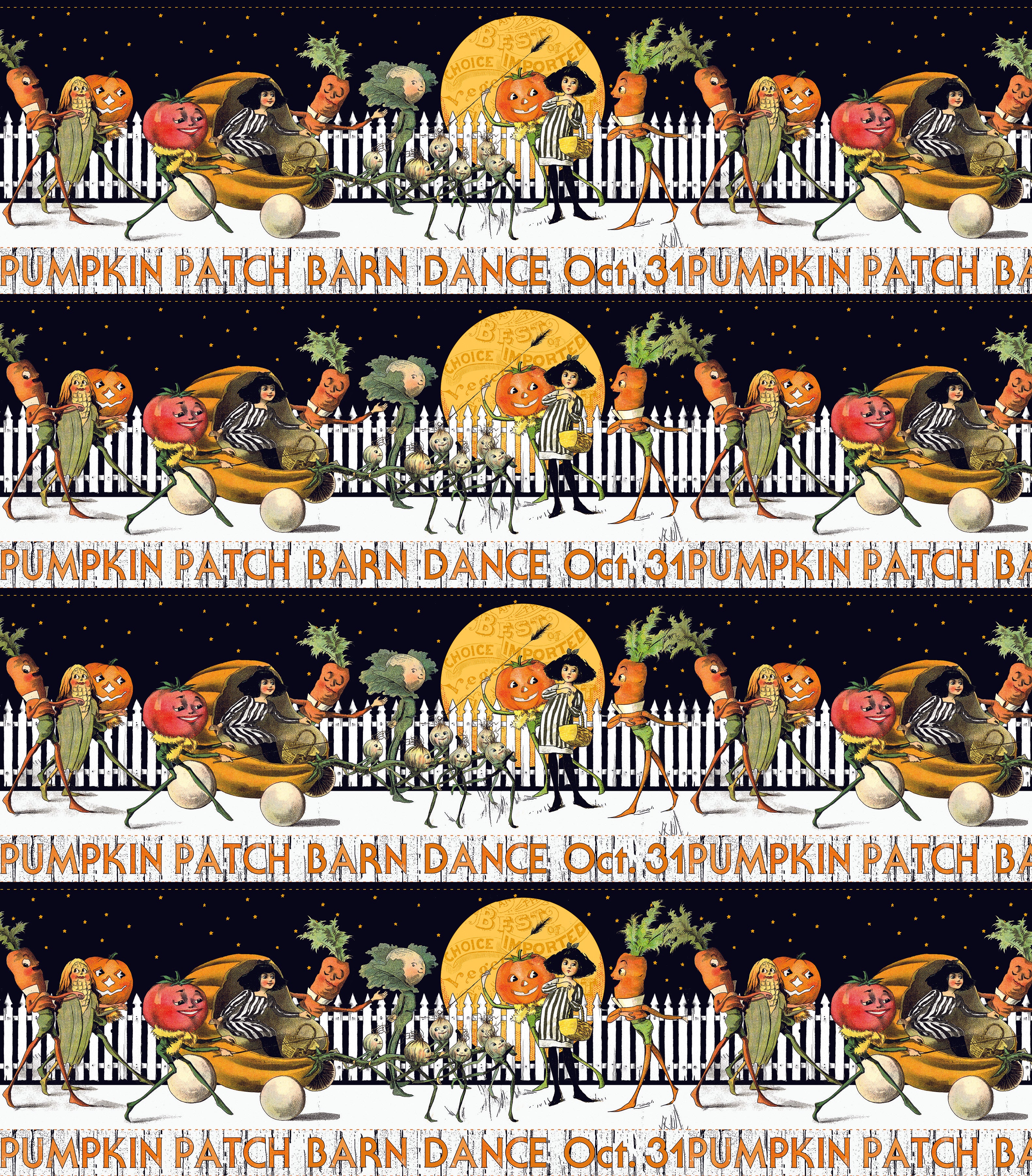 Pumpkin Patch | Barn Dance Border Stripe White by J. Wecker Frisch for Riley Blake | CD14573-WHITE