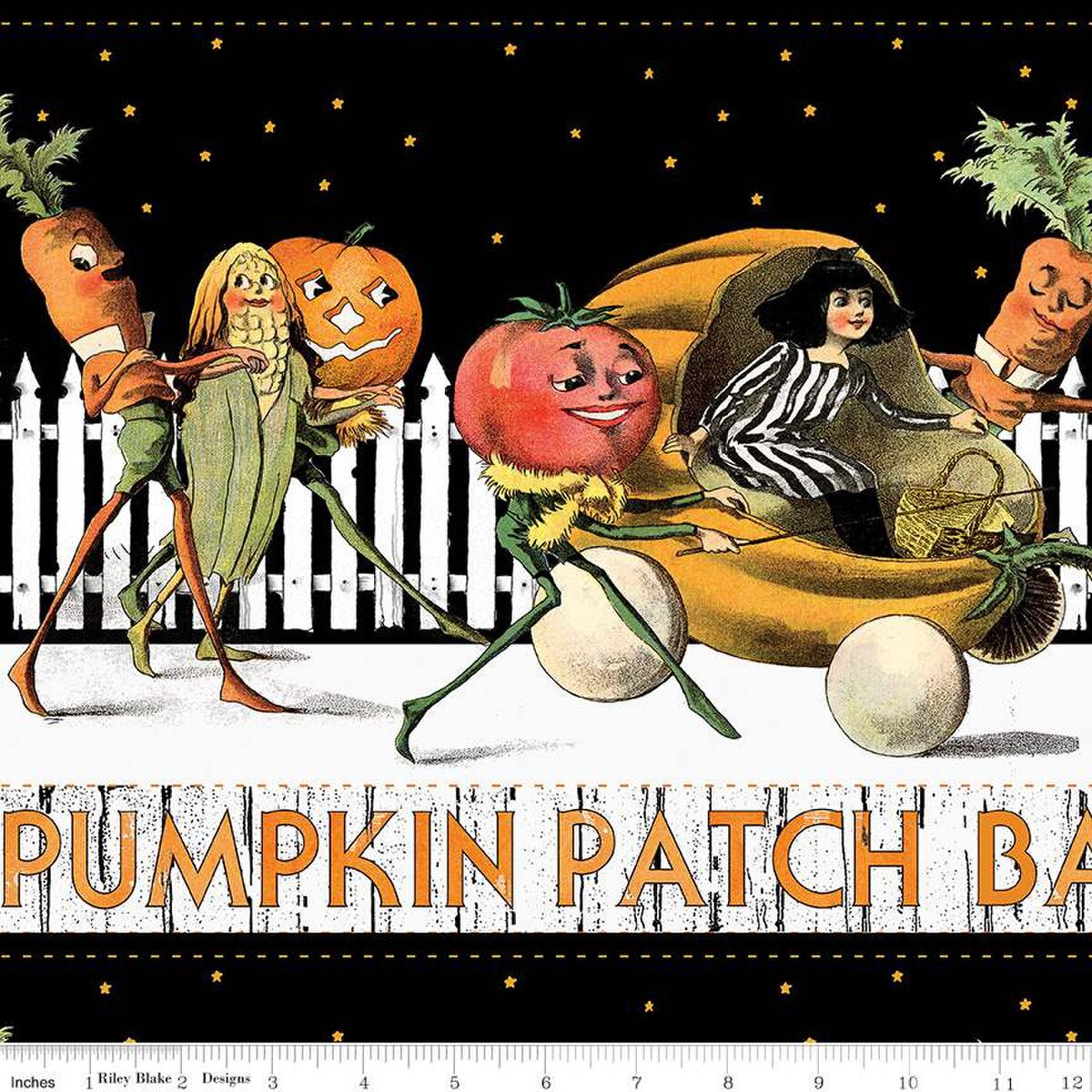 Pumpkin Patch | Barn Dance Border Stripe White by J. Wecker Frisch for Riley Blake | CD14573-WHITE