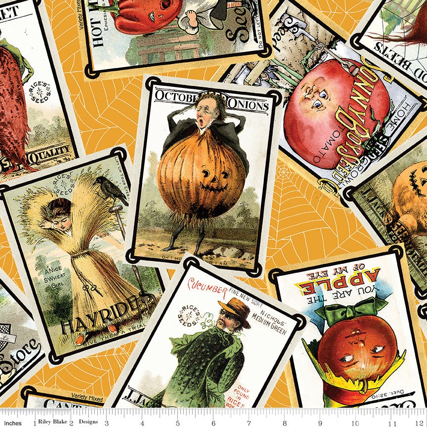 Pumpkin Patch | Seed Packs Toss Orange by J. Wecker Frisch for Riley Blake | CD14579-ORANGE