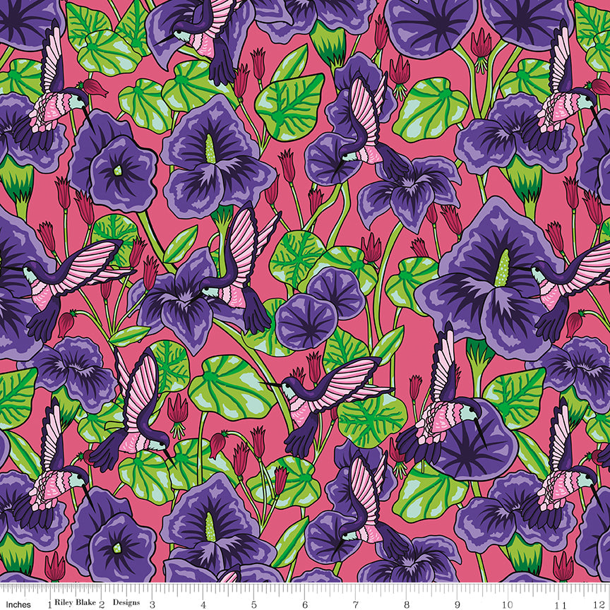 Botanic Blast | Hummingbird Floral Raspberry by Sew Yeah Quilting for Riley Blake | CD15543-RASPBERRY