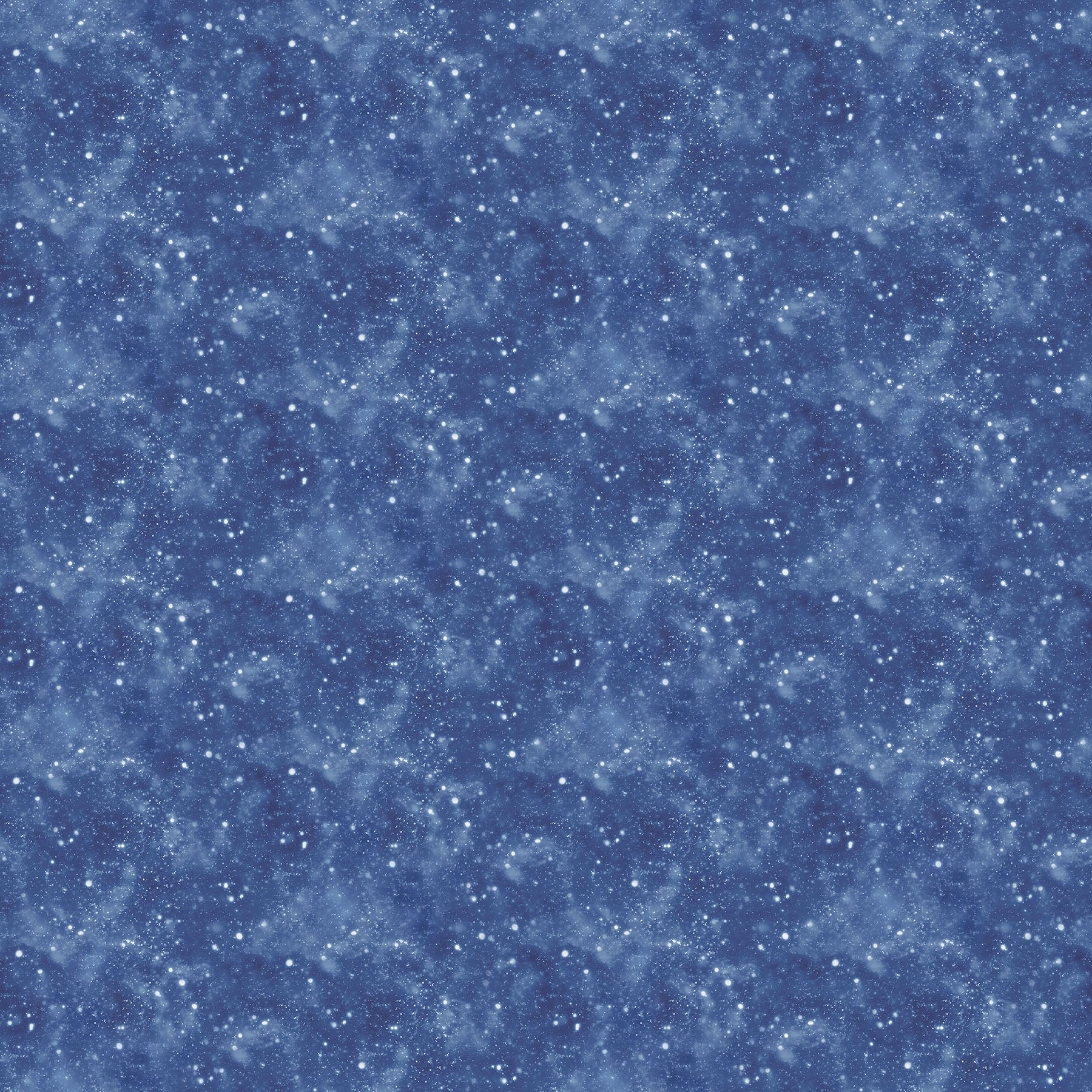 Winter Jays Flannel | F27201-46 | Art Brand Holdings for Northcott Fabrics