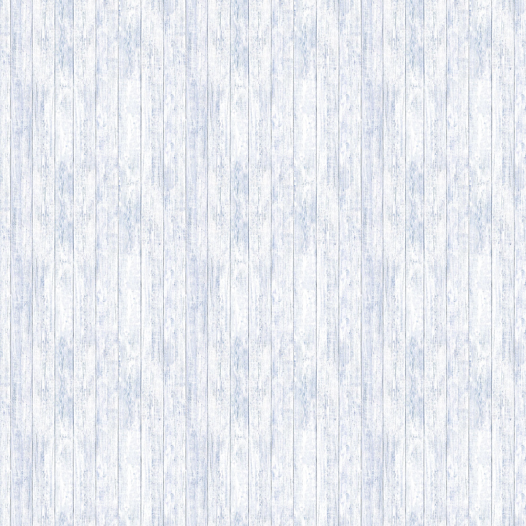 Winter Jays Flannel | F27203-42 | Art Brand Holdings for Northcott Fabrics