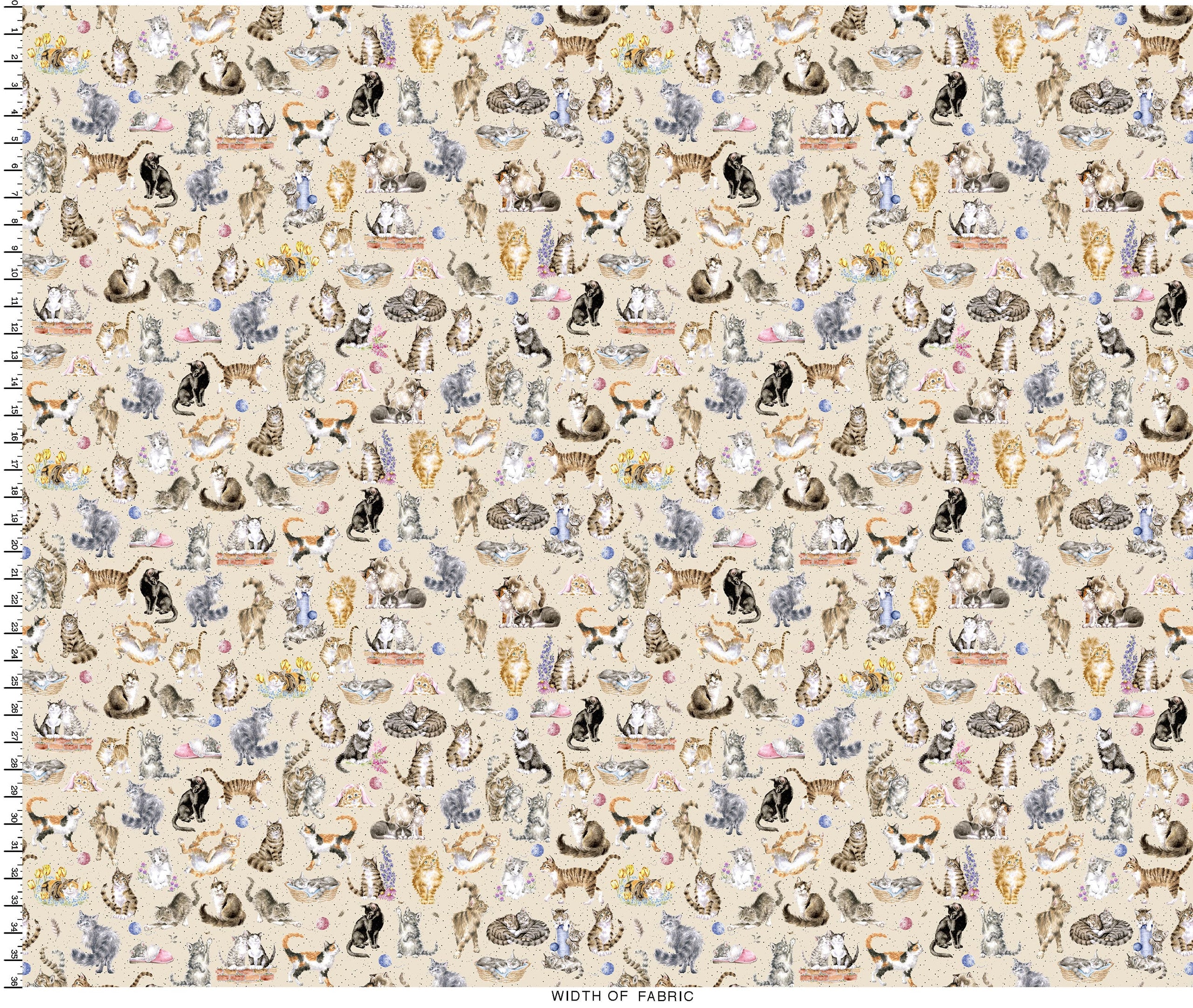 Whiskers & Paws | Directional Cats - Cream by Hannah Dale for Maywood Studio | MAS10414-E