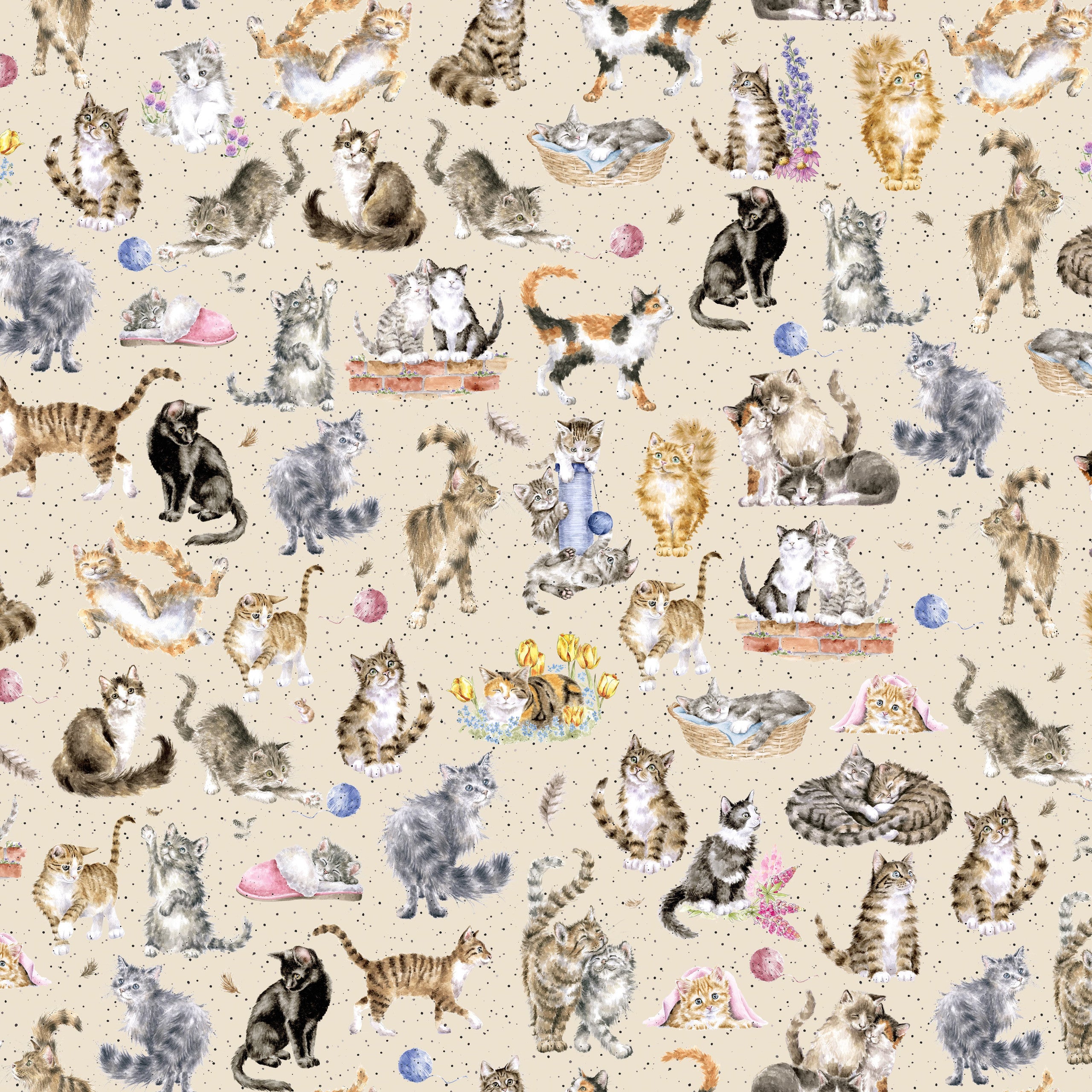 Whiskers & Paws | Directional Cats - Cream by Hannah Dale for Maywood Studio | MAS10414-E