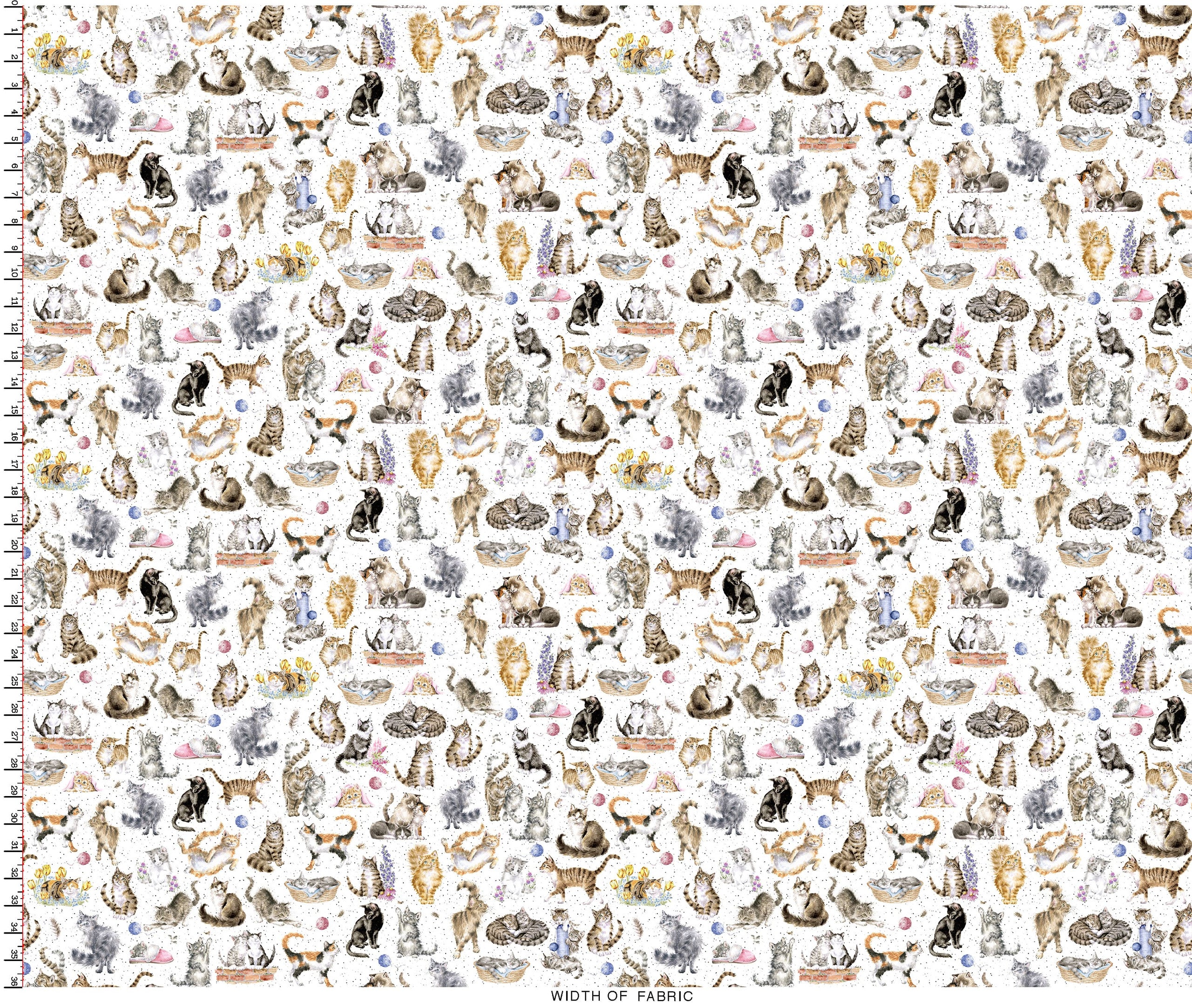 Whiskers & Paws | Directional Cats - White by Hannah Dale for Maywood Studio | MAS10414-W