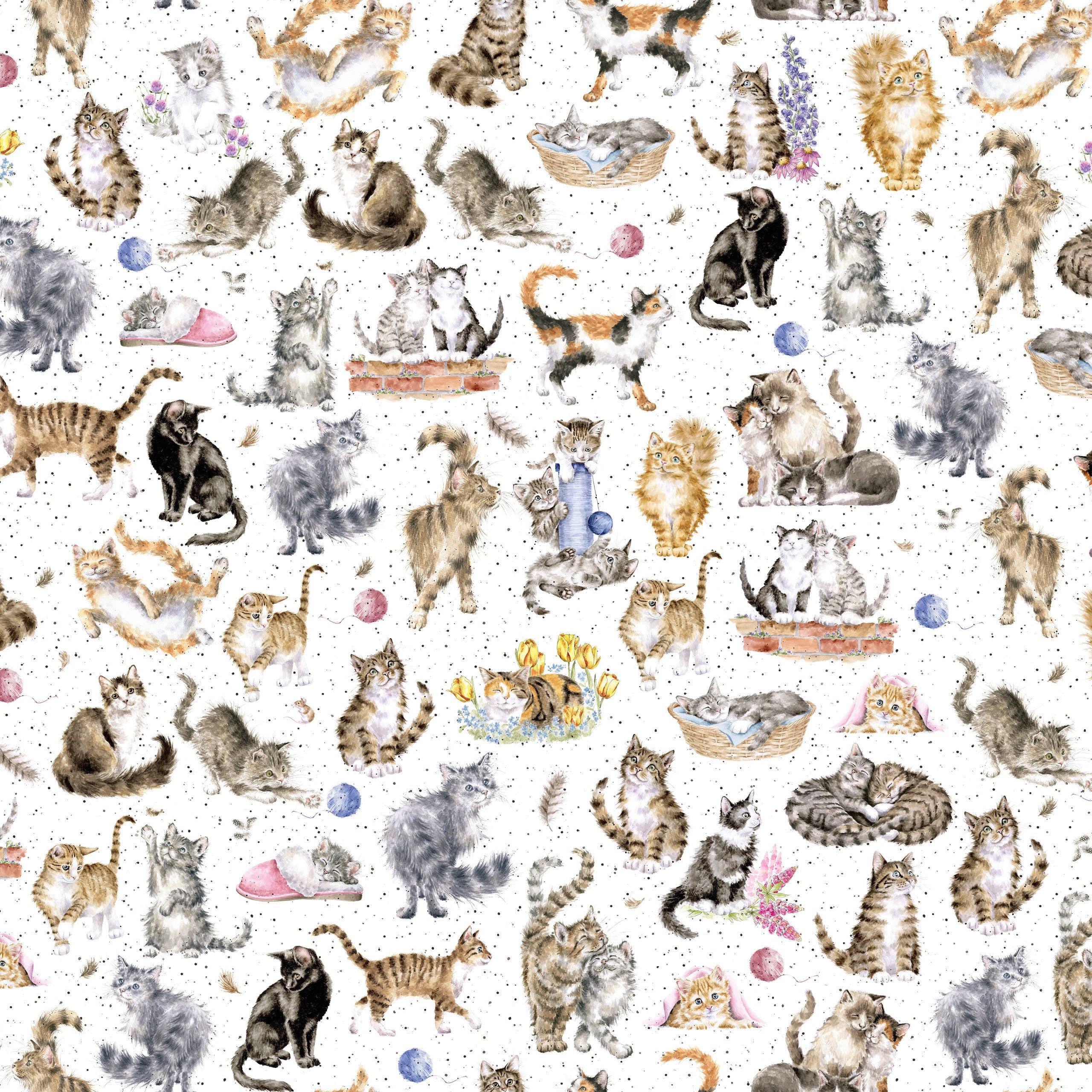 Whiskers & Paws | Directional Cats - White by Hannah Dale for Maywood Studio | MAS10414-W