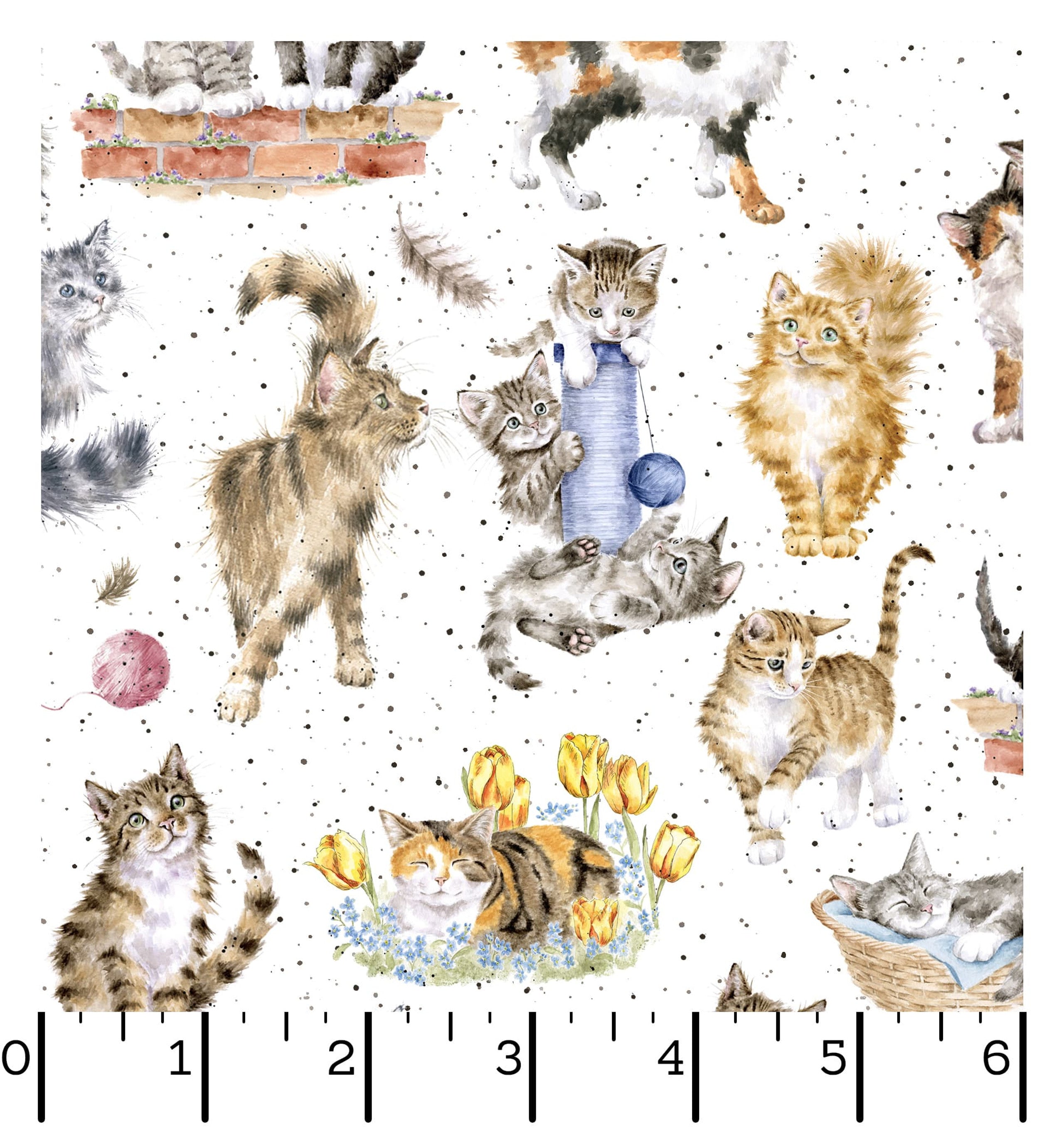 Whiskers & Paws | Directional Cats - White by Hannah Dale for Maywood Studio | MAS10414-W