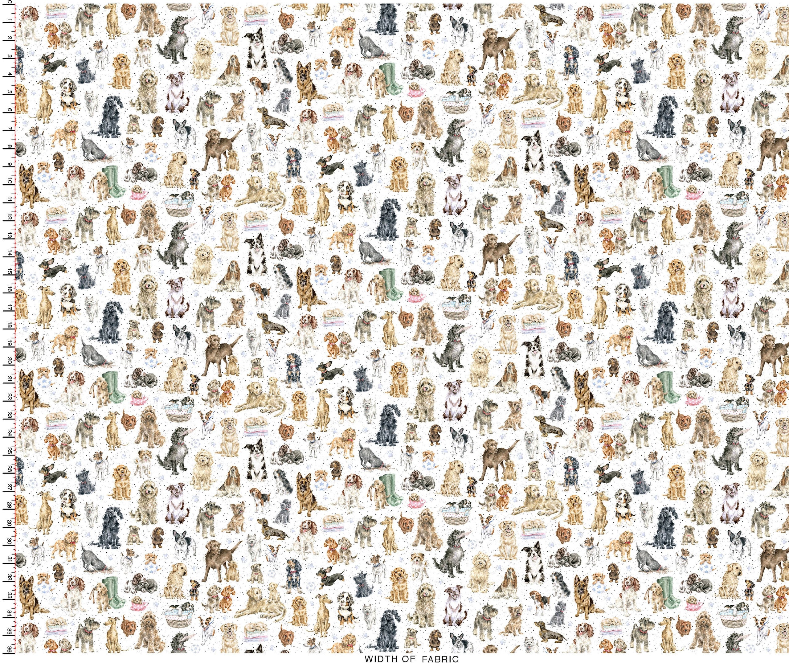 Whiskers & Paws | Directional Dogs - White by Hannah Dale for Maywood Studio | MAS10415-W