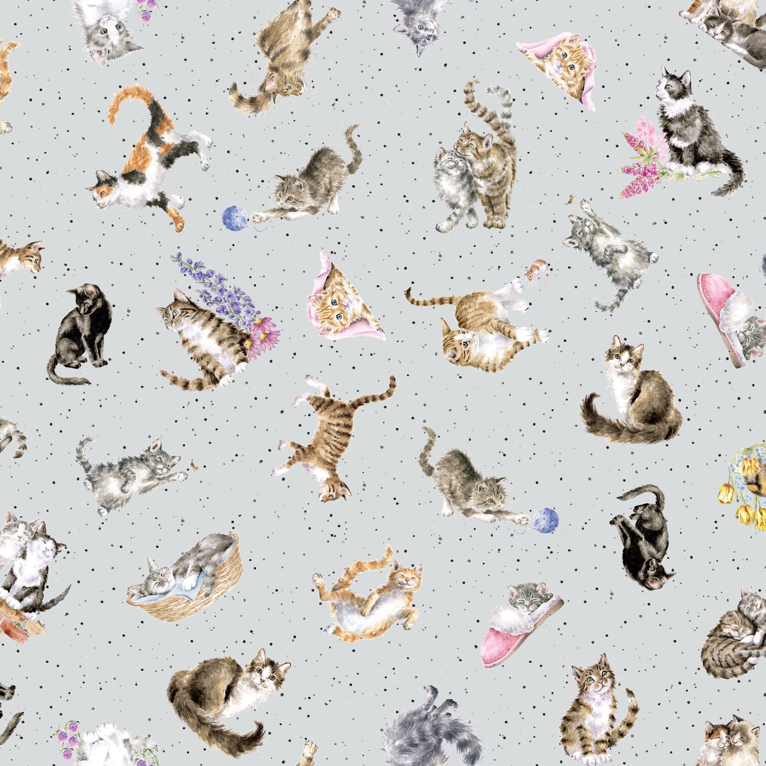 Whiskers & Paws | Tossed Cats - Grey by Hannah Dale for Maywood Studio | MAS10416-K