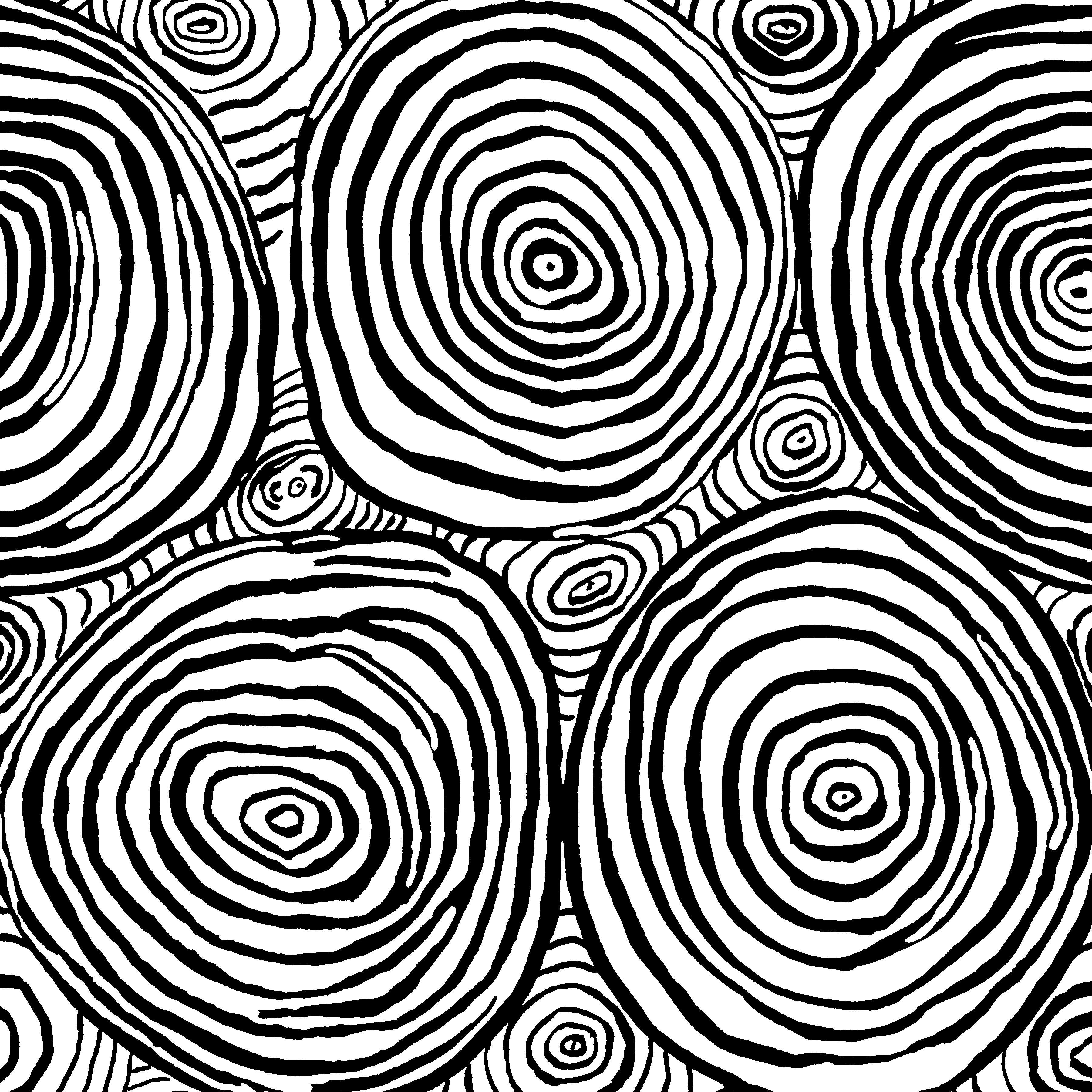 Onion Rings Black 108" Wide Back | Kaffe Fassett Collective for Free Spirit | Backing Fabric