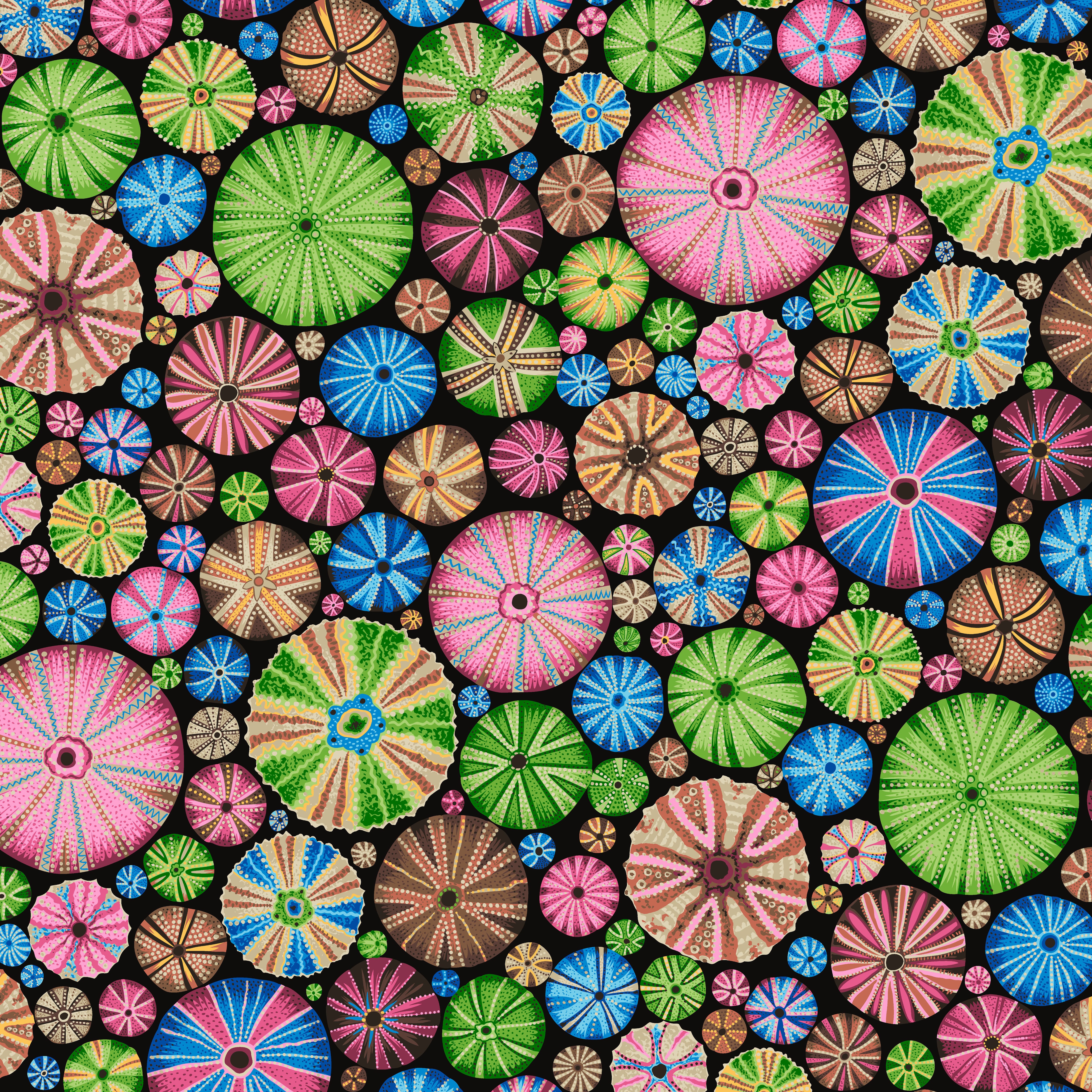 August 2024 | Urchins - Multi by Philip Jacobs for the Kaffe Fassett Collective | PWPJ125.MULTI