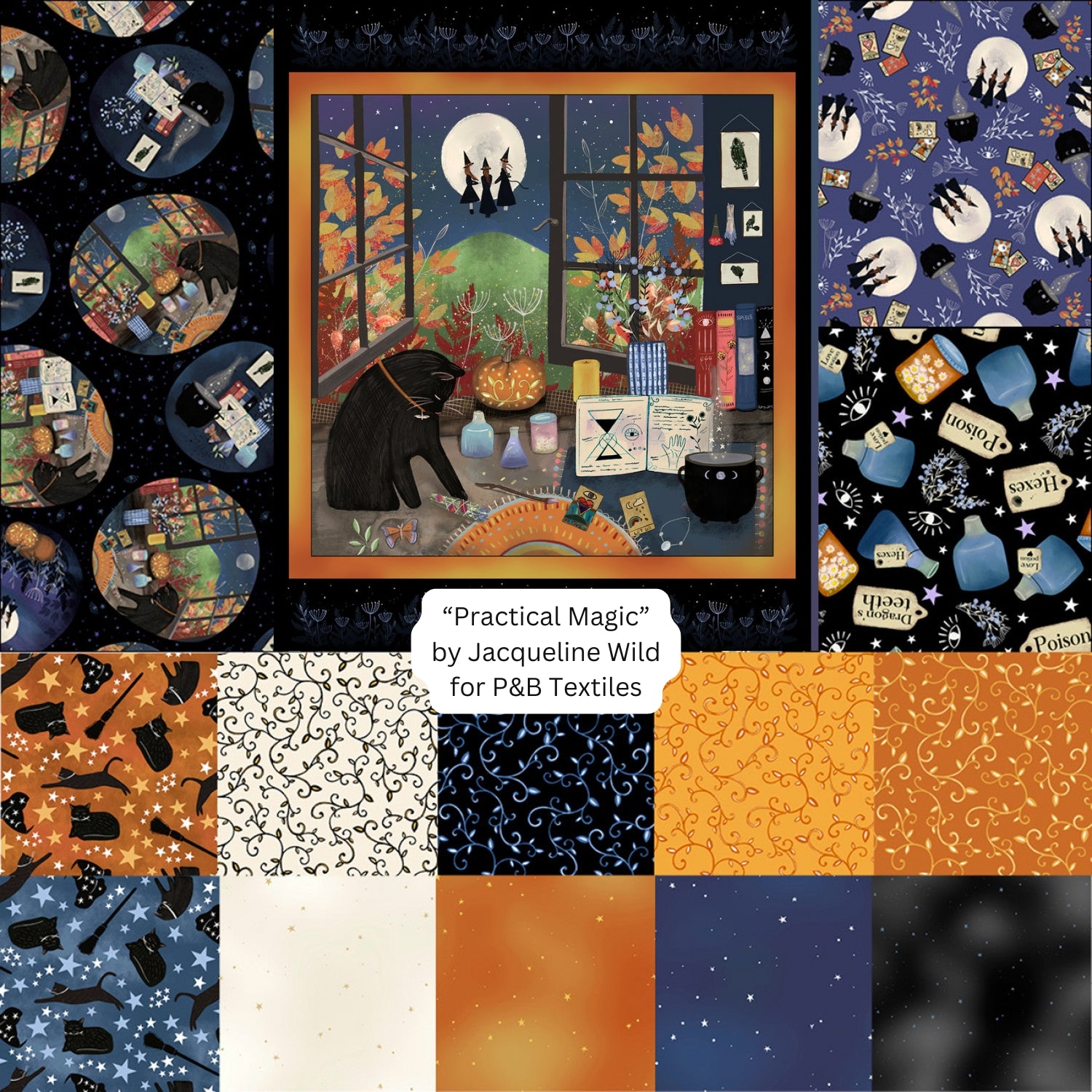 Practical Magic | Halloween Scene Toss Midnight by Jacqueline Wild for P&B Textiles | PMAG5360-K