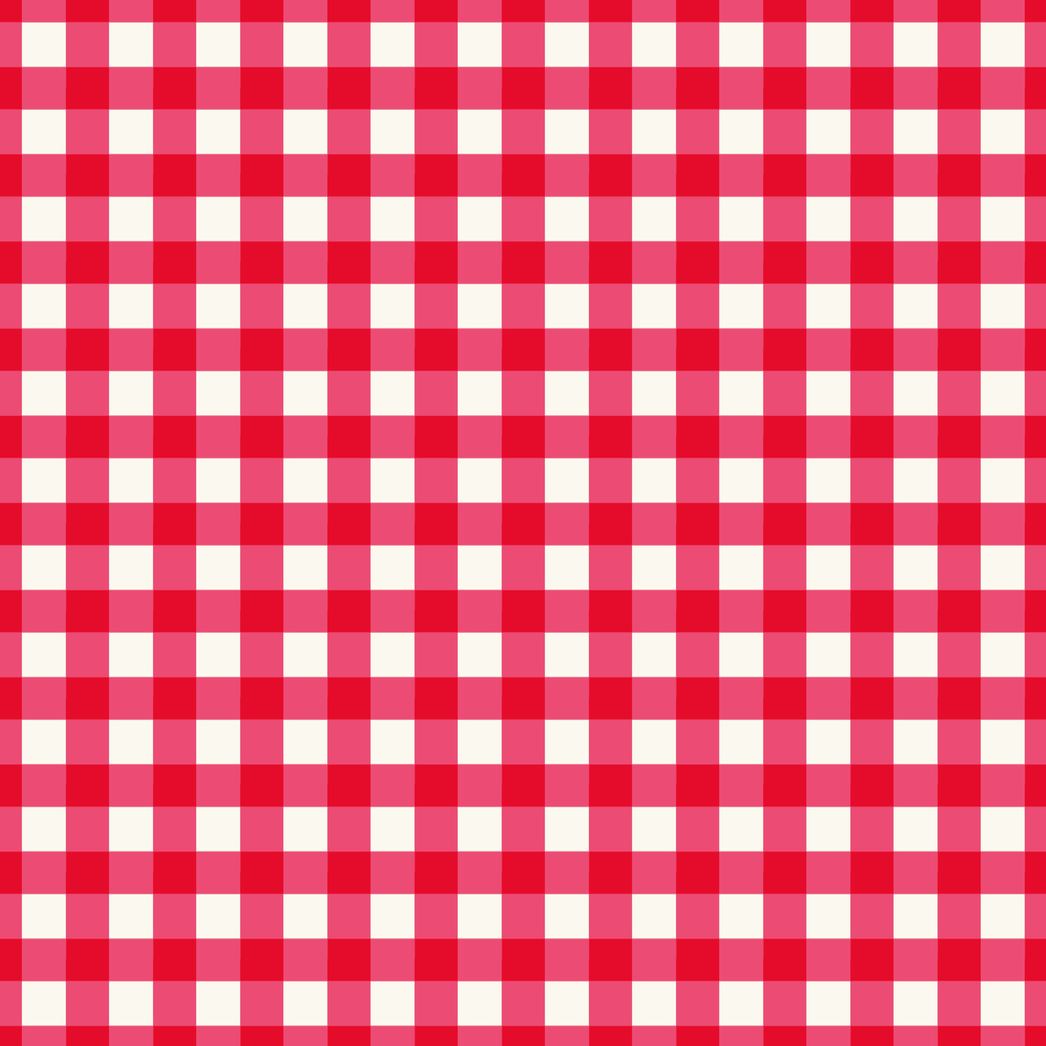 Picnic Florals | Gingham Red 108" Wide Backing by My Mind's Eye for Riley Blake | WB14618-RED