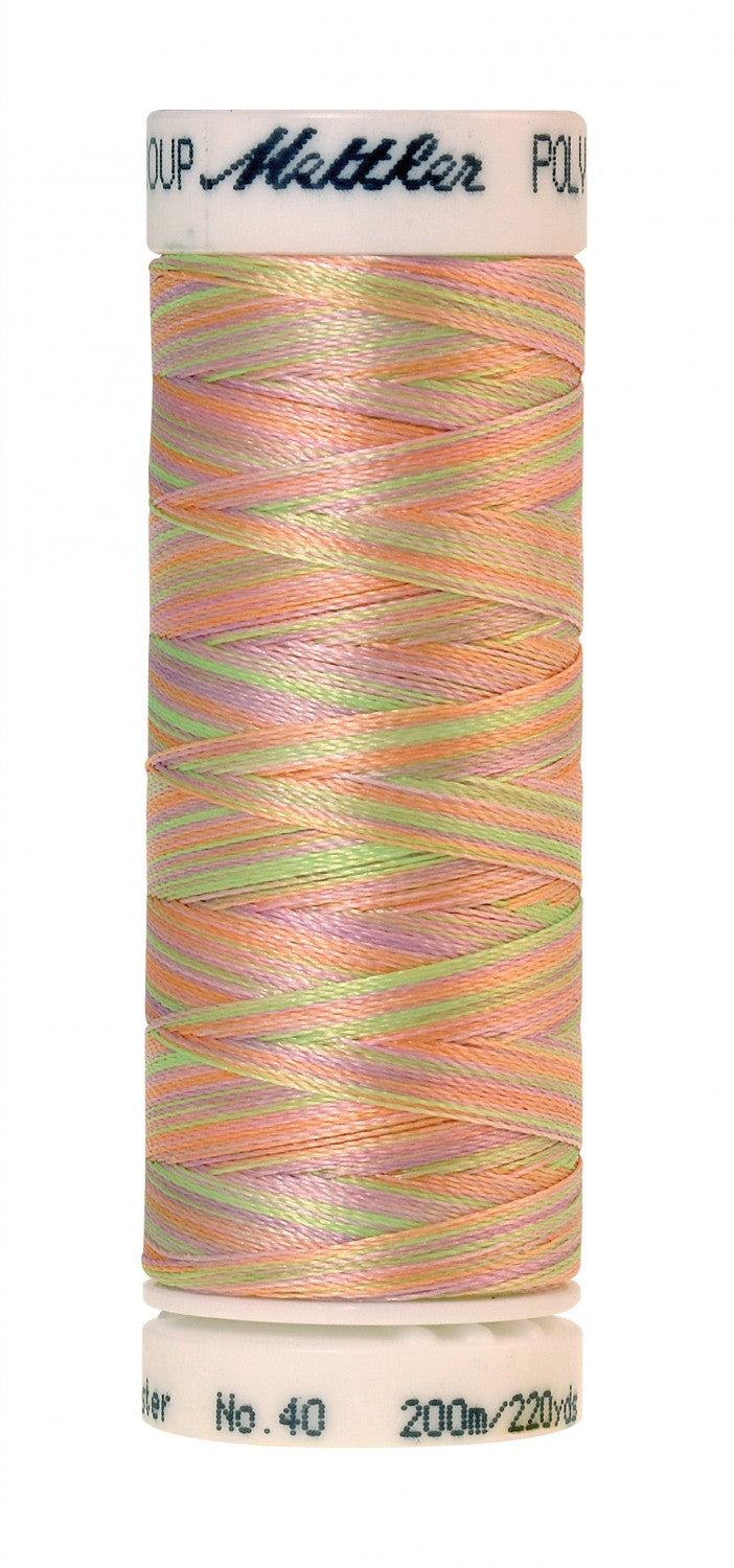 Mettler Poly Sheen Multi 40wt Trilobal Polyester Thread - 220 yds - Baby Girl Pastels (#9935)