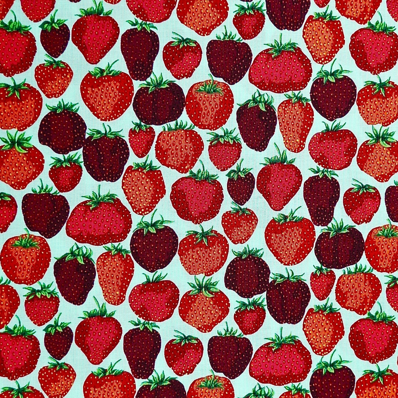 English Garden - Strawberry Fields Aqua - cotton fabric (1 yard)